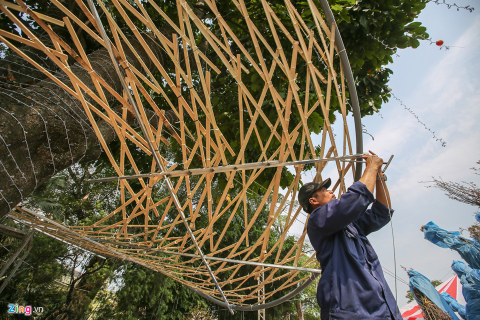 Hoa anh đào được bảo quản lạnh 10 độ C chờ ngày hội